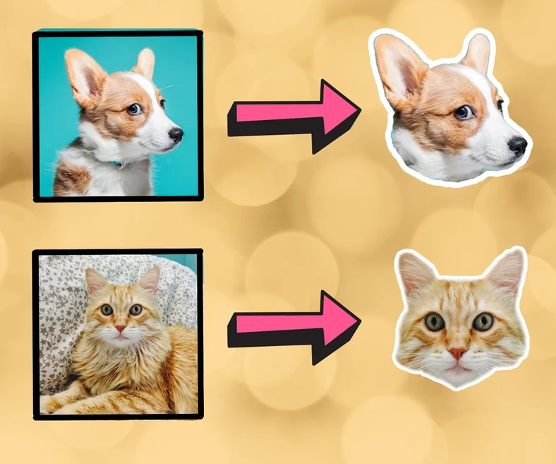 3x autocolante personalizado para o seu animal de estimação